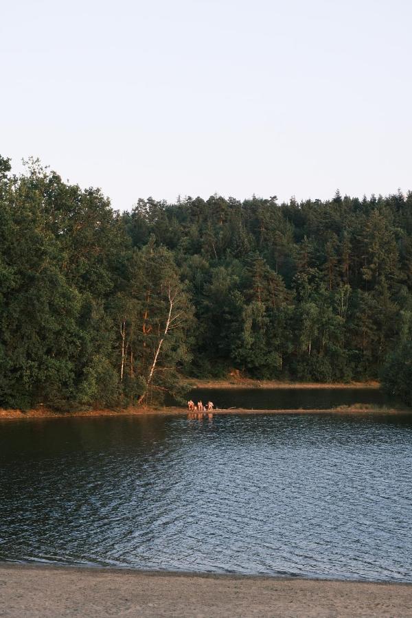 Lodge Avec Spa Privatif - Foret Et Lac Liginiac Luaran gambar