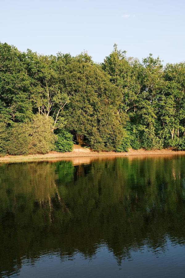 Lodge Avec Spa Privatif - Foret Et Lac Liginiac Luaran gambar