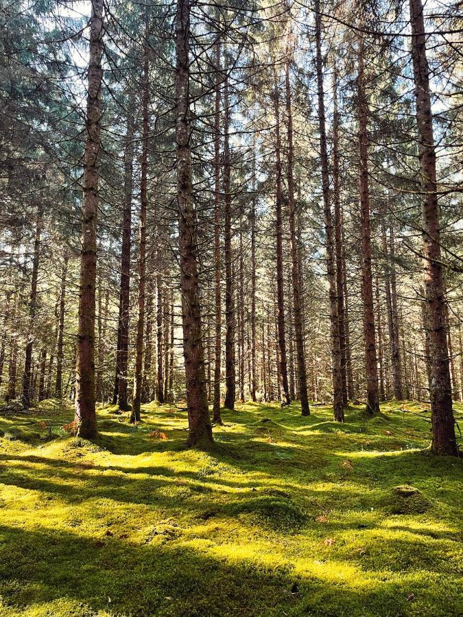 Lodge Avec Spa Privatif - Foret Et Lac Liginiac Luaran gambar