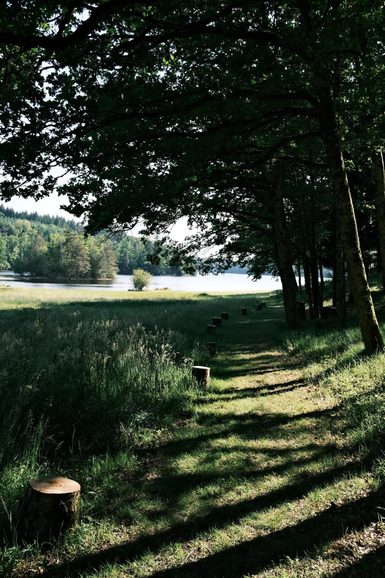 Lodge Avec Spa Privatif - Foret Et Lac Liginiac Luaran gambar