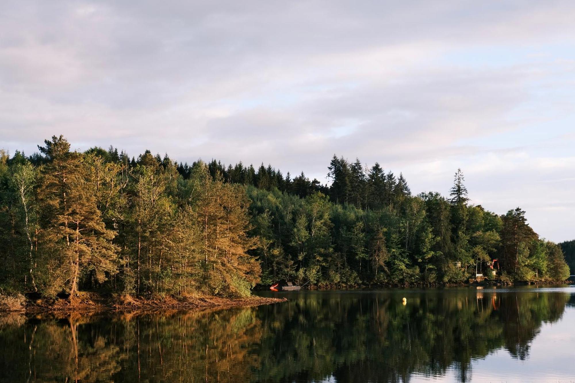 Lodge Avec Spa Privatif - Foret Et Lac Liginiac Luaran gambar